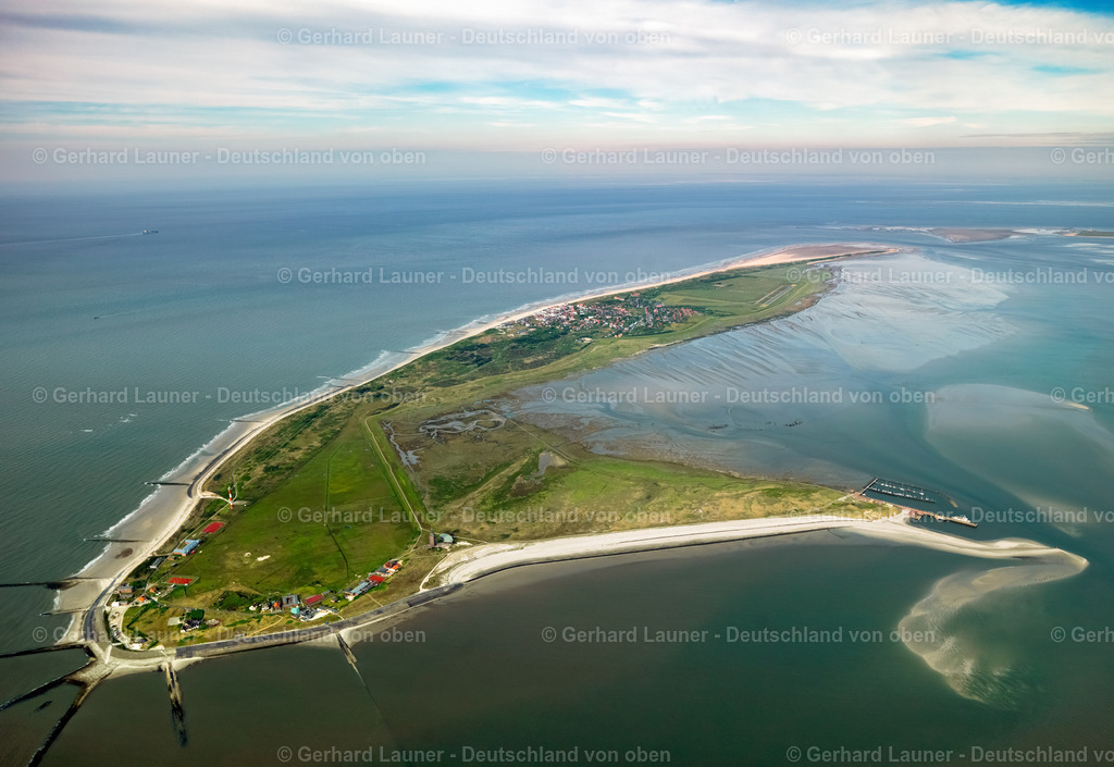 3091104 | Wangerooge, Nationalpark Niedersächsisches Wattenmeer