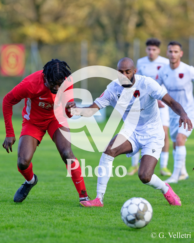 DZ8_9258 | Velletri Photo