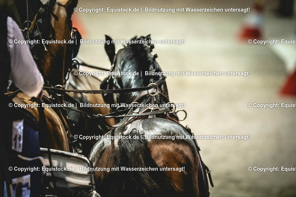 20240203_FEI-Driving-World-Cup_0010 | Foto: Thomas Hartig