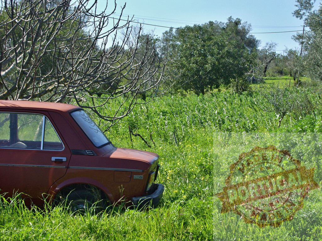 Abandoned vintage car resting in a peaceful field, embracing nature's tranquility | Old rusty car parked in a field with green grass and trees, showing a nostalgic scene of forgotten times - Realisiert mit Pictrs.com