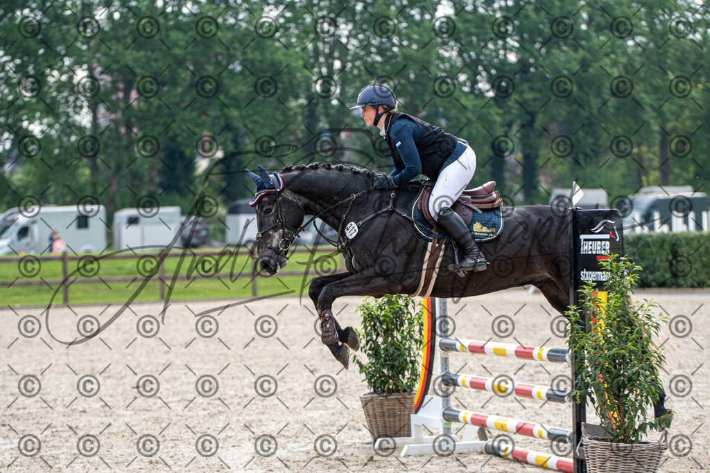 KPT_2060 | andre_photographic