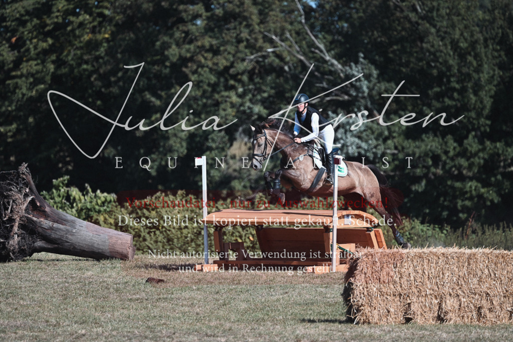 DSC_8691 | Pferde- und Turnierfotografie in Westsachsen. Pferdeportraits, Auftragszeichnungen und intuitive Kunst.