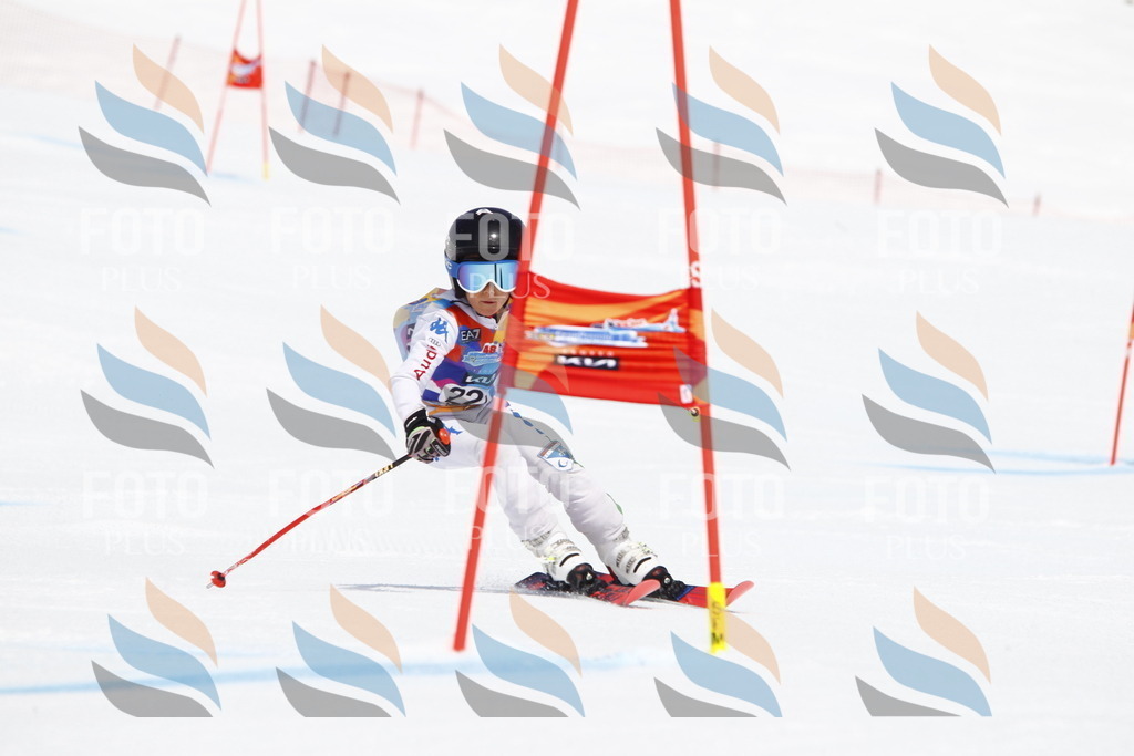 _U3G5726 | holidayphoto