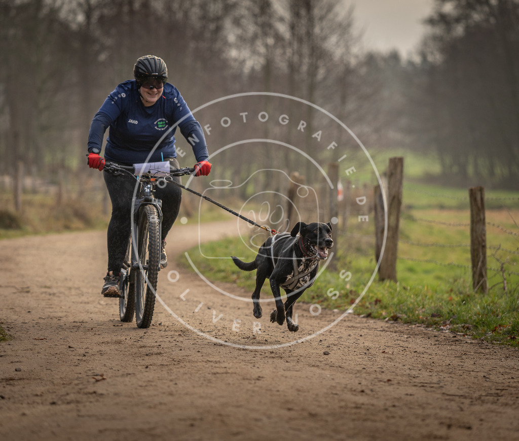 Pfotenfotografie_DV3A2026 | Hundefotografie, Tierfotograf, Pfotenfotografie, Fotoshooting Hund, Hunde Portrait, Hundesport, Hundeportraits, Heideshooting, Hunde, Sportfotograf, Hundefotograf, Turnierhundsport, THS,  - Realisiert mit Pictrs.com