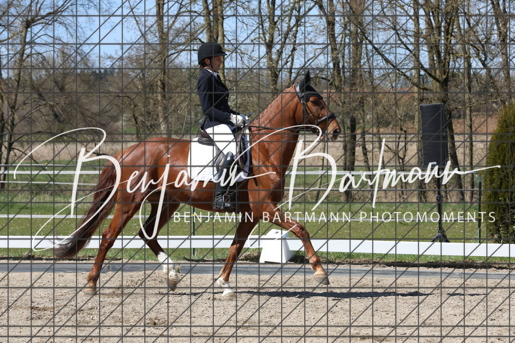 AZ2A4482 | Benjamin Bartmann Photomoments