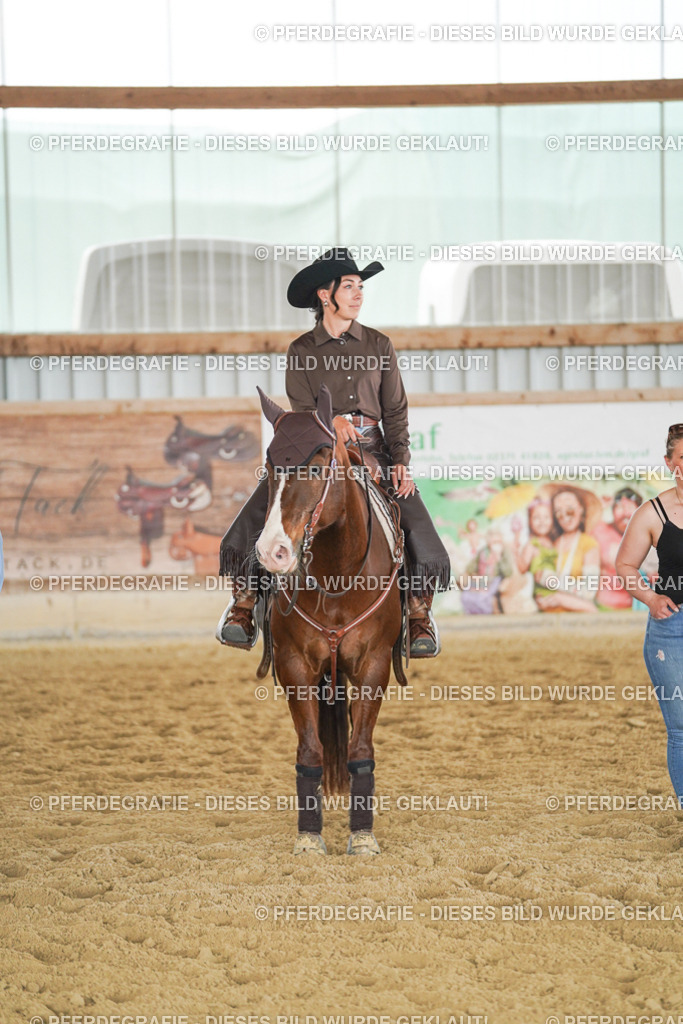 DSC05075 | Pferdegrafie