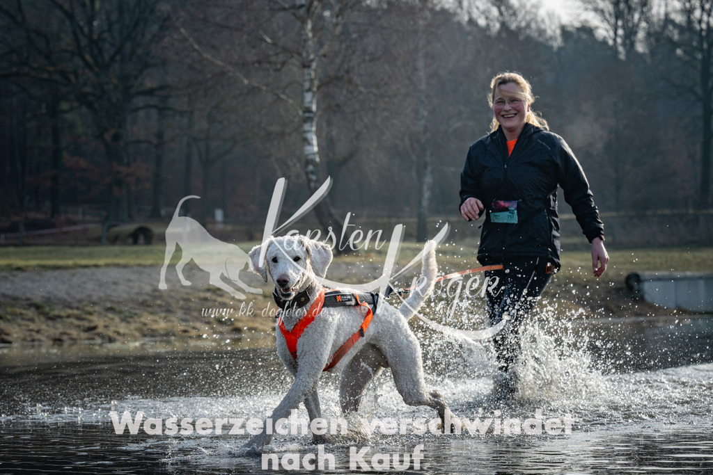 0856_ZZ99299 | kk-dogfotos