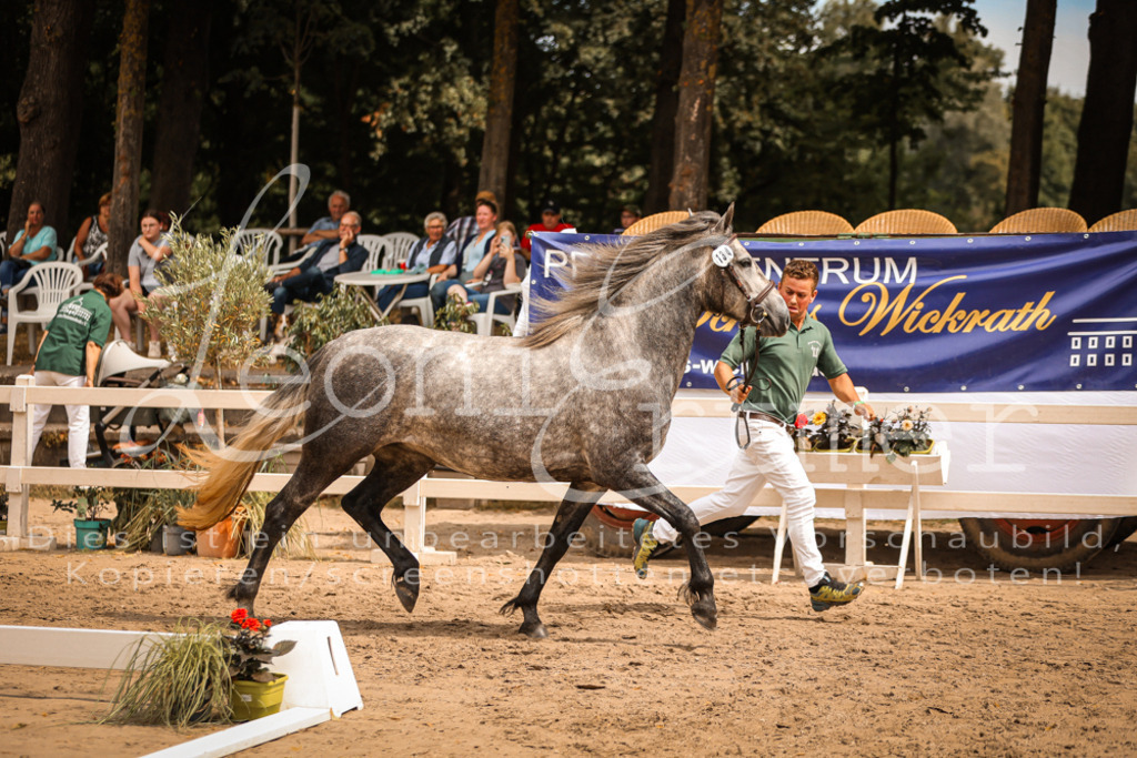 04.So00074 | Leoni Ertmer Photography - Realisiert mit Pictrs.com