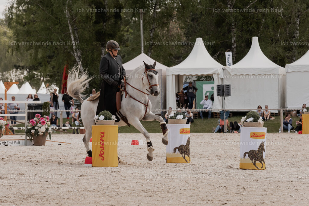 WE_ST_Stoib_321_PI2025_1138 | Pferd International München 2025