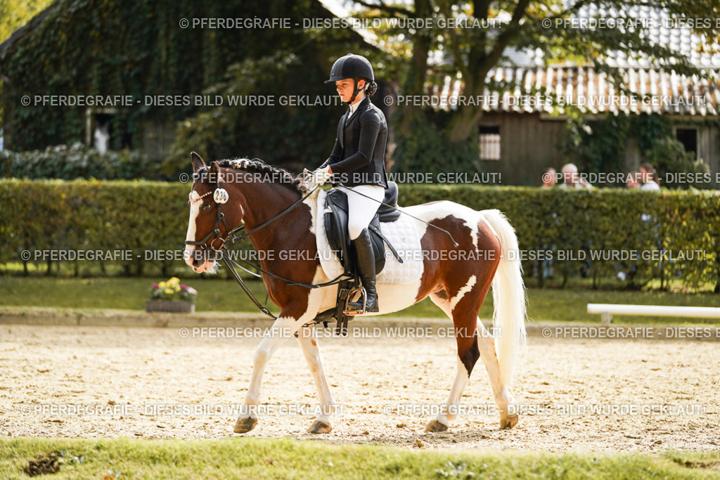 DSC01321 | Pferdegrafie