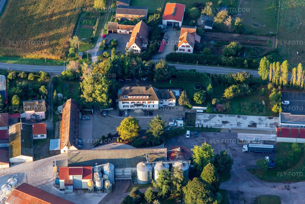 Aerial view: Ferme Schafbusch in Steinseltz in the state Bas-Rhin, France. – Photo: IMG_138824.jpg taken on 09/24/2023 by Werner Riehm/FLY-FOTO.com – Resolution of the original: 5190 x 3460 px – Ferme Schafbusch