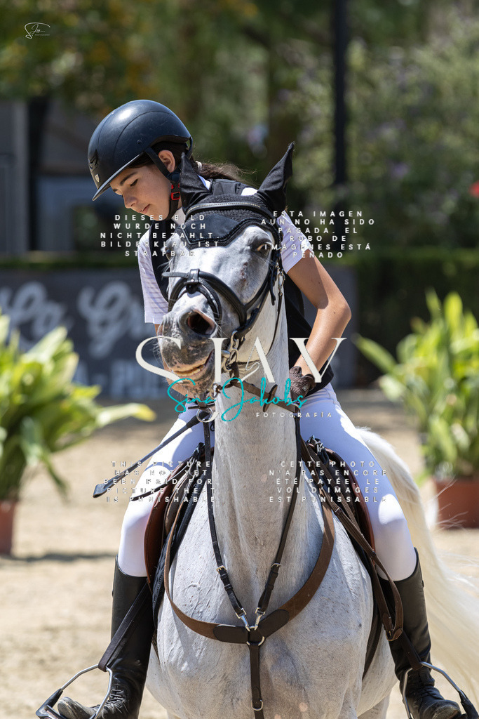 IMG_1187 | s-jay-photography - Realisiert mit Pictrs.com