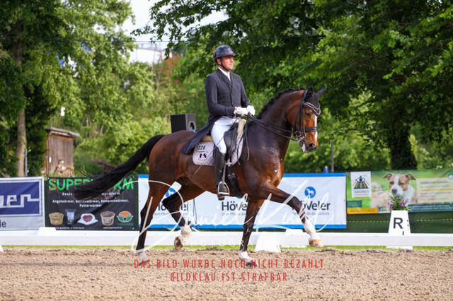 DKP41784 | Deine Turnierfotos vom Reitturnier online kaufen: Dressur, Springen & Siegerehrung. Professionelle Pferdefotografie aus dem Rheinland – als Download & Print.Alternative: Turnierfotograf für den Pferdesport: Finde deine Fotos von Dressur- und Springturnier