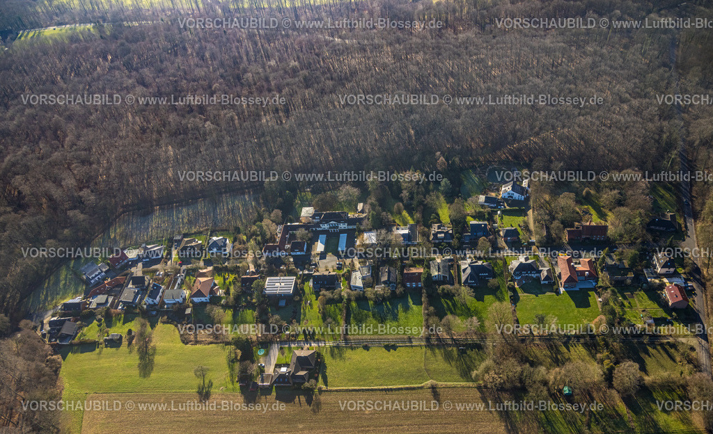 Selm230205022Cappenberg | Luftbild, Wohnsiedlung Baltimora, am Waldrand, Cappenberg, Selm, Münsterland, Nordrhein-Westfalen, Deutschland