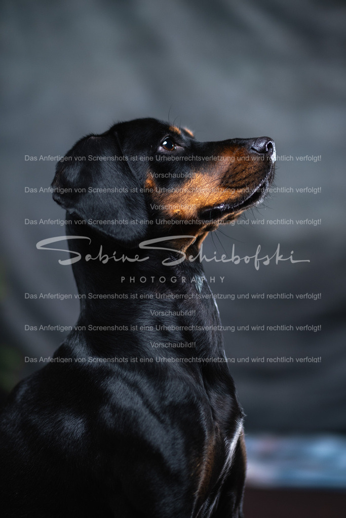 DSCF4415 | People- und Tierfotografie, Imageaufnahmen, Veranstaltungsfotografie und Wandbilder aus der Natur ★ Made in Germany ✔️ Druck + Downloads ✔️ Naturfotografie in Top Qualität ★ schneller Versand, weltweite Lieferung! - Realisiert mit Pictrs.com