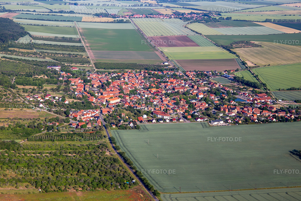 Luftbild: Ortsansicht von Südosten im Ortsteil Dingelstedt am Huy in Huy im Bundesland Sachsen-Anhalt in Deutschland. Foto: IMG_136350.jpg vom 15.06.2023 durch Werner Riehm/FLY-FOTO.de