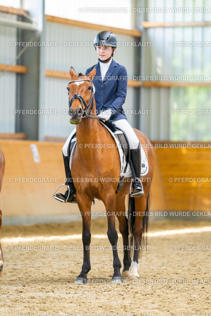 DSC08803 | Pferdegrafie