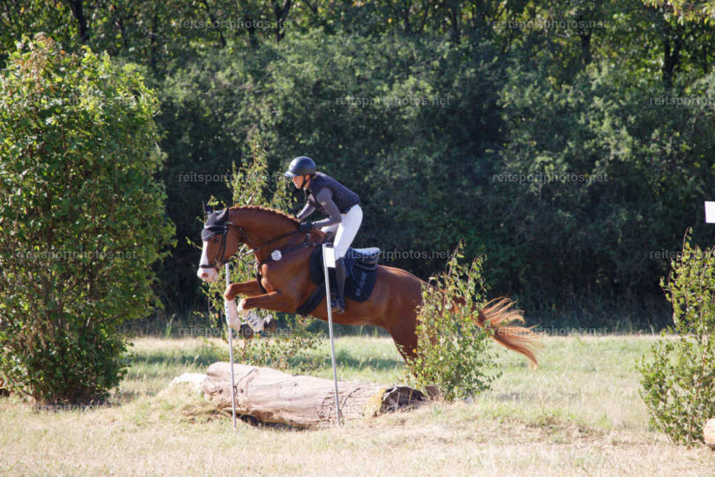 JHE_0795 | JoYa Fotografie - Realisiert mit Pictrs.com