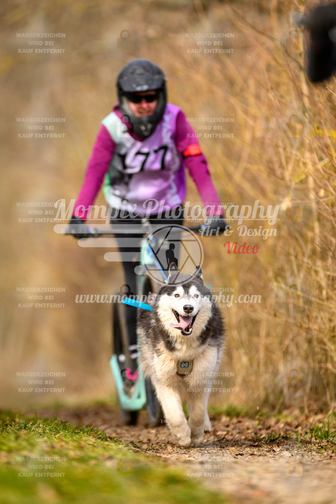MompixPhotography_Schwabentrail2024_DS1-94 | PayLife
