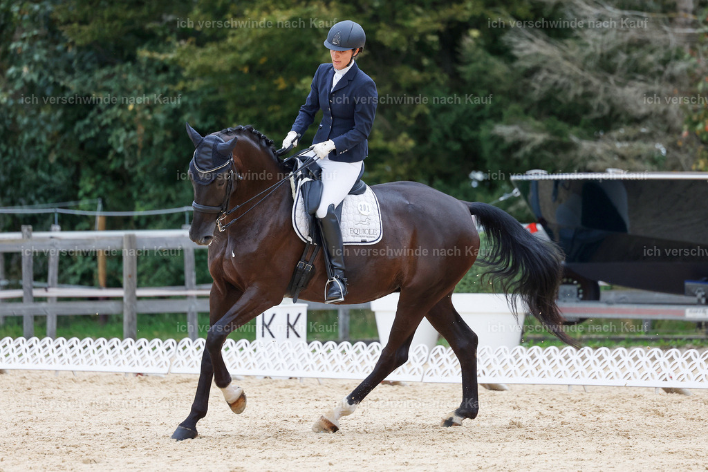 04_2-202-Dressur M__ -StoibPH-2937 | working equitationturnier fotograf videograf stoibphotography marixx film working equitation deutschland reitsport turnierfotografie eventfotografie equestrian events