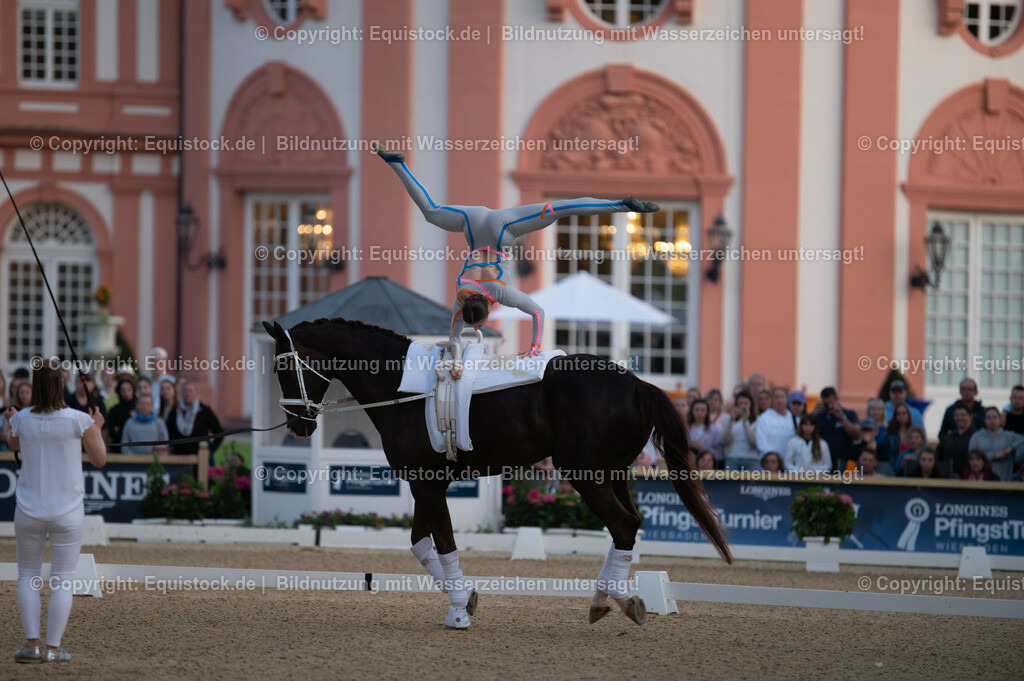 20230527_Voltigieren_NASPA_Flutlicht_0035 | equistock