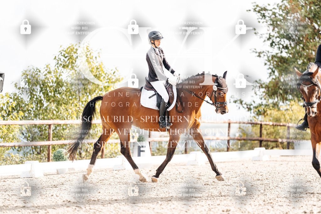 CK900922 | Turnierfotografie Pferdefotografie Trier Rheinland-Pfalz Pferdesport Reitsport Tierfotografie Sportfotografie Pferdevideo Pferdevideografie Equestrianvideography equestrianphotography  - Realisiert mit Pictrs.com