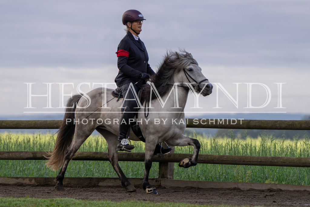 KAI02810 | Ihr sucht einen Fotografen für eure nächste OSI? Ich begleite auch euer Turnier für Islandpferde fotografisch.  - Realisiert mit Pictrs.com