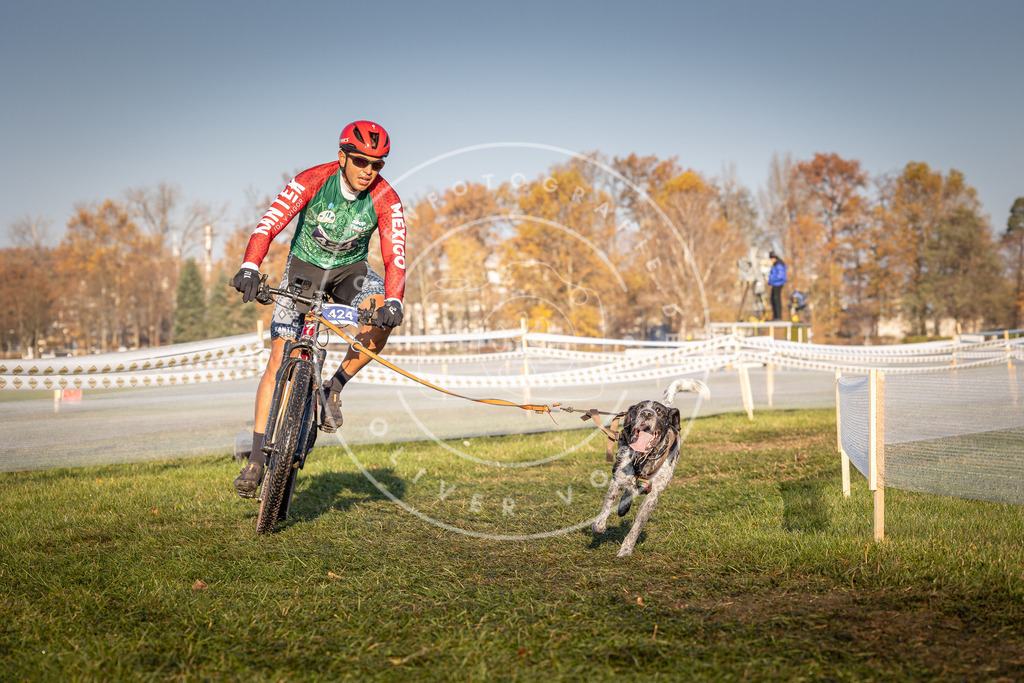 CaniXpix_0L8A4202 | Hundefotografie, Tierfotograf, Pfotenfotografie, Fotoshooting Hund, Hunde Portrait, Hundesport, Hundeportraits, Heideshooting, Hunde, Sportfotograf, Hundefotograf, Turnierhundsport, THS,  - Realisiert mit Pictrs.com