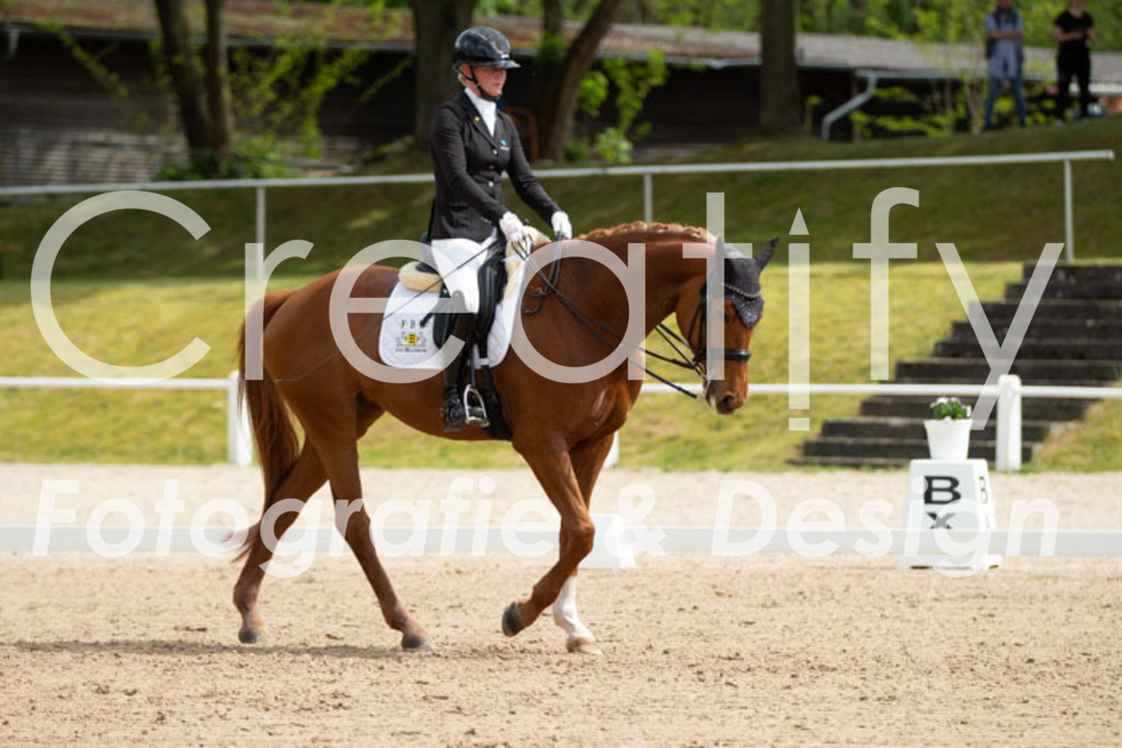 IMG_6871 | Creatify Fotografie