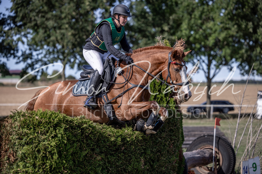 20260906-_3LI6108 | Tierfotografie Pferde, Hunde, Katzen, Haustiere.
Turnierfotografie Reitturniere, Reiten, Springreiten, Dressur in Hanau, dem Main-Kinzig-Kreis und dem Rhein-Main- Gebiet um Frankfurt