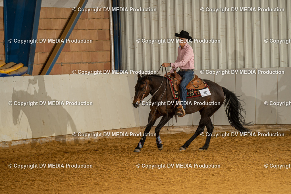 MIT01391 | dv-media-shop - Realisiert mit Pictrs.com