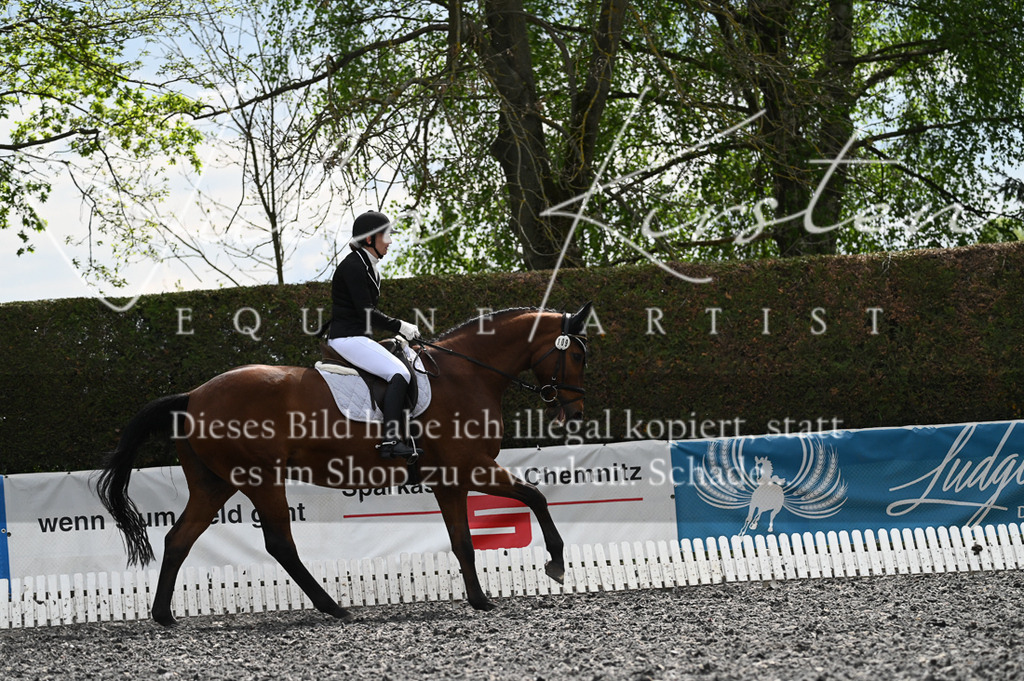 20230512_JK-Röhrsdorf-08-133 | Pferde- und Turnierfotografie in Westsachsen. Pferdeportraits, Auftragszeichnungen und intuitive Kunst.