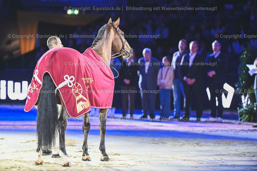 20251113_Masters-Hengst_TOMSPIC_0014 | Foto: Thomas Hartig