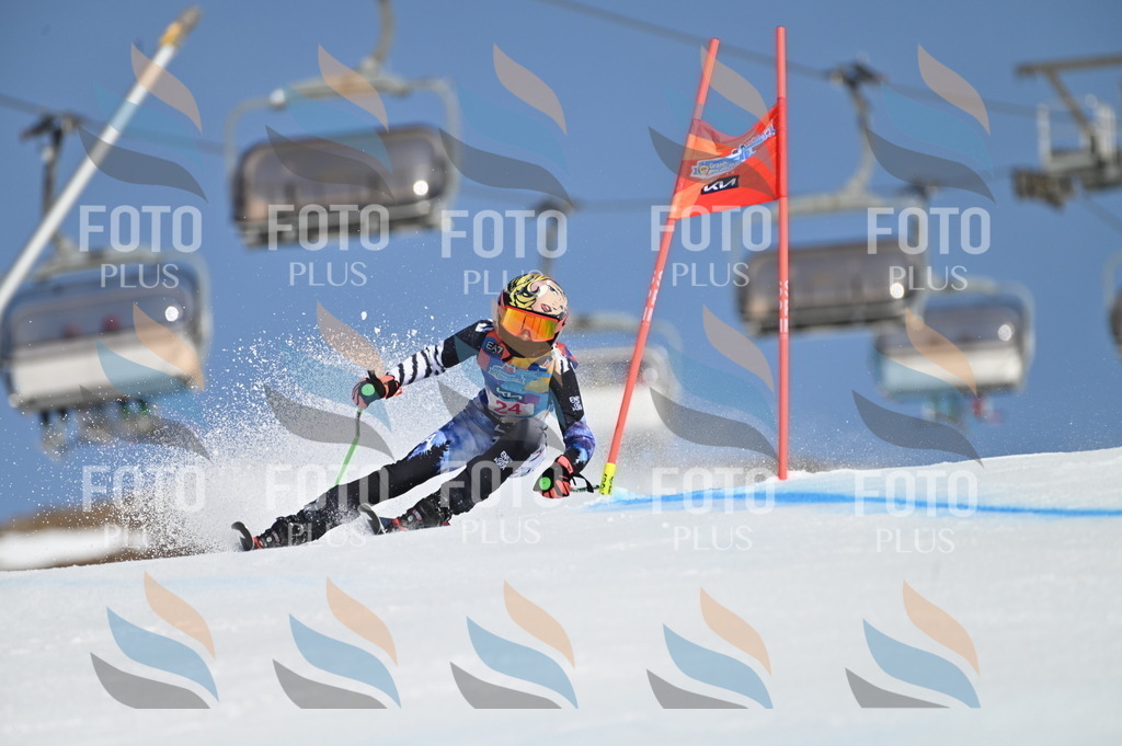 BGV_8013 | holidayphoto