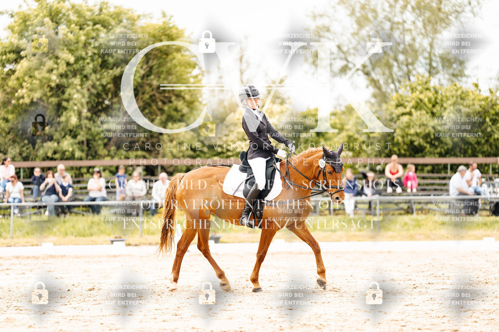 CK902950 | Turnierfotografie Pferdefotografie Trier Rheinland-Pfalz Pferdesport Reitsport Tierfotografie Sportfotografie Pferdevideo Pferdevideografie Equestrianvideography equestrianphotography  - Realisiert mit Pictrs.com