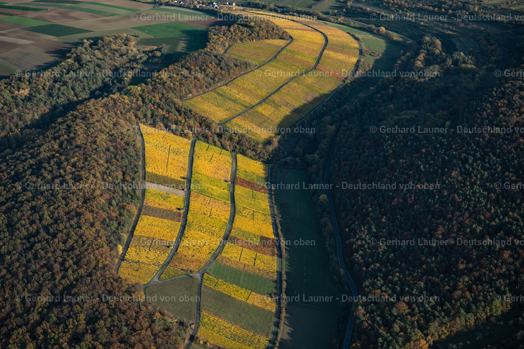 4042315 | Weinlage Dabug, Lindelbach