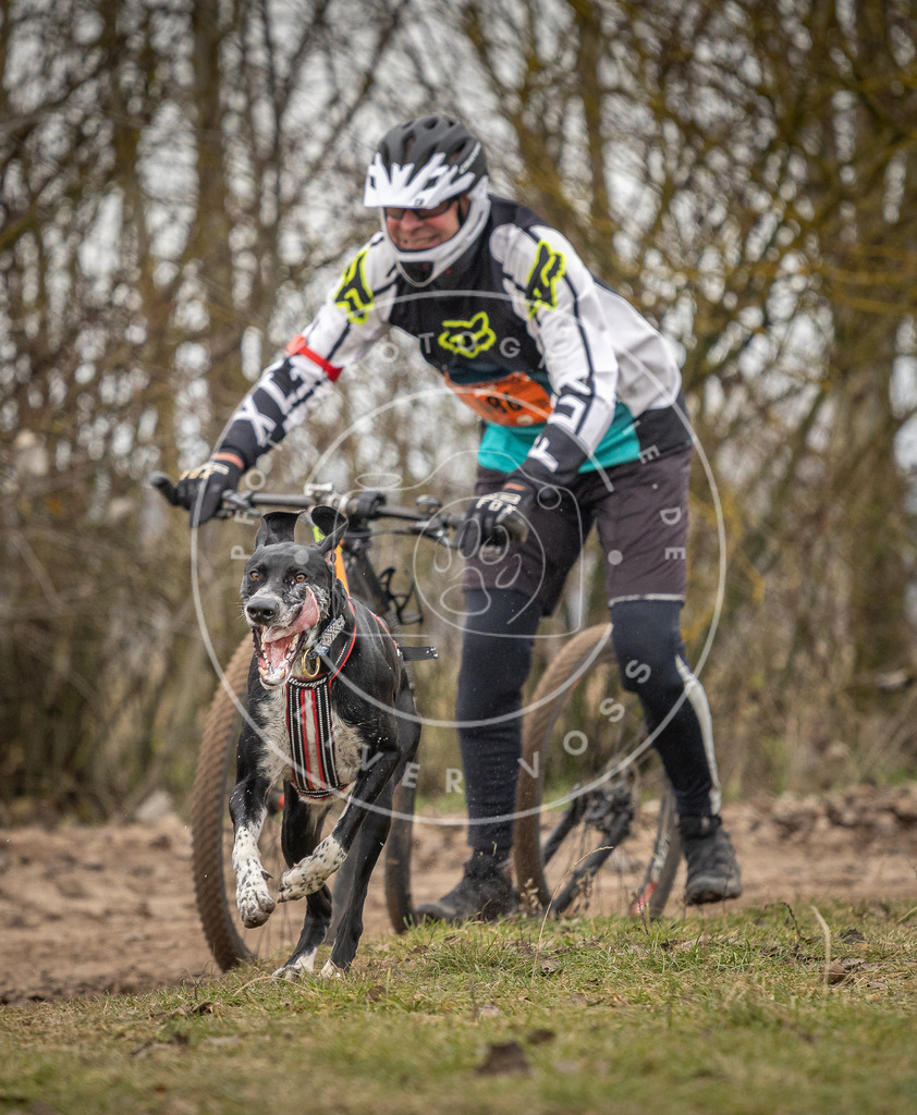 Pfotenfotografie_DV3A9882 | Hundefotografie, Tierfotograf, Pfotenfotografie, Fotoshooting Hund, Hunde Portrait, Hundesport, Hundeportraits, Heideshooting, Hunde, Sportfotograf, Hundefotograf, Turnierhundsport, THS,  - Realisiert mit Pictrs.com