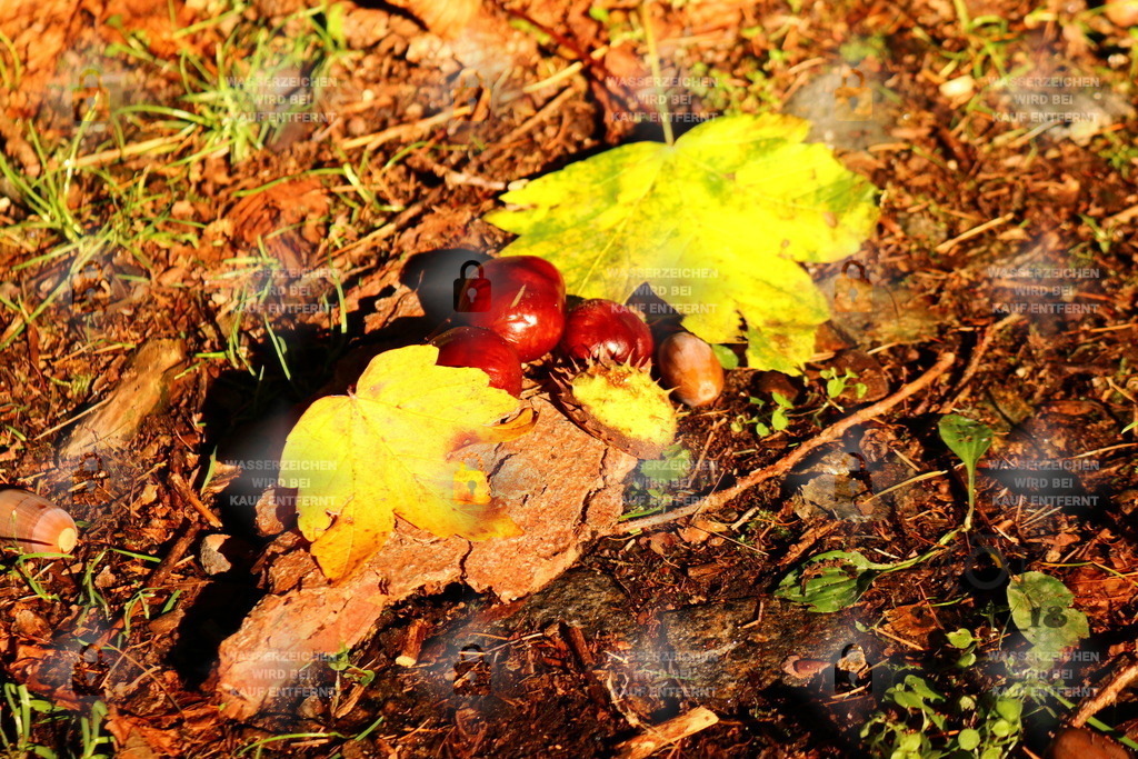 20180930140107_IMG_2535 | susn_18 - Realisiert mit Pictrs.com