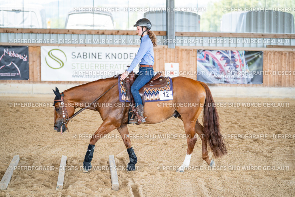 DSC03043 | Pferdegrafie