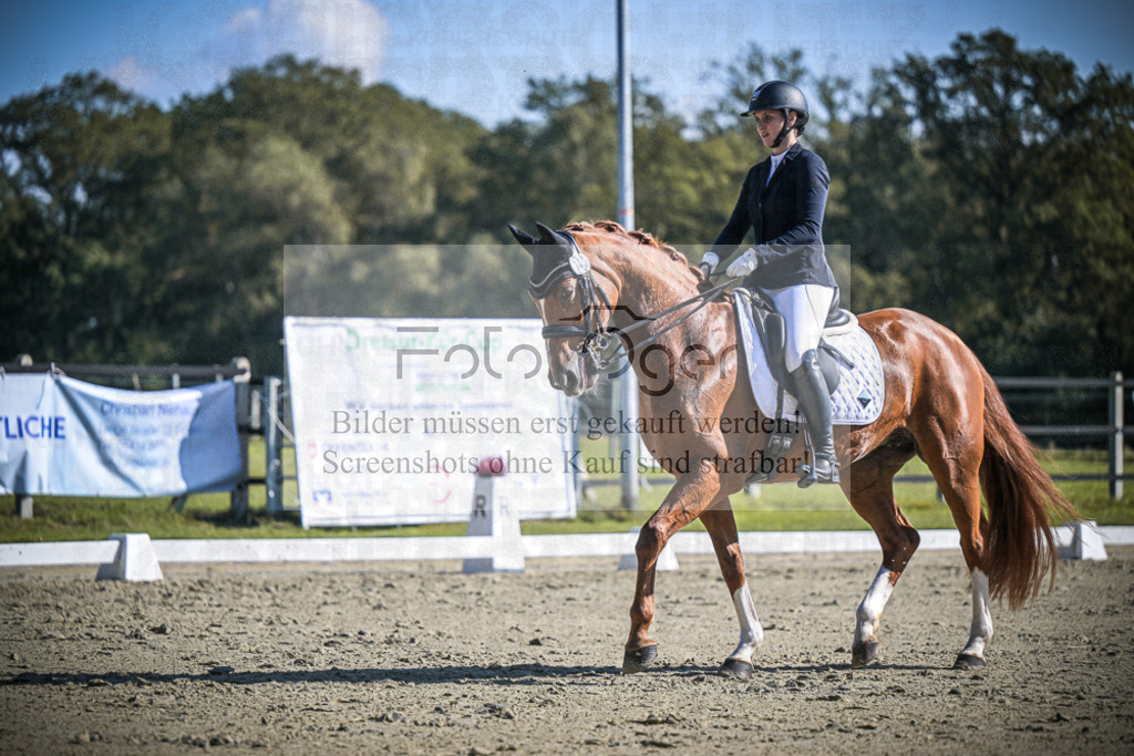 DOS_2636 | Entdecke hochwertige Reitturnierfotos von Foto Oger. Professionell, emotional und authentisch – jetzt Lieblingsmomente im Shop bestellen.Deutschlandweite Turnierfotografie. - Realisiert mit Pictrs.com