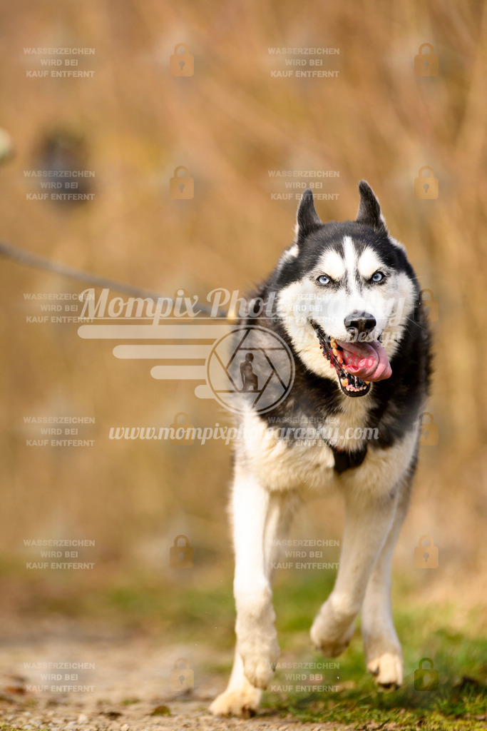 MompixPhotography_Schwabentrail2024_DS1-97 | PayLife