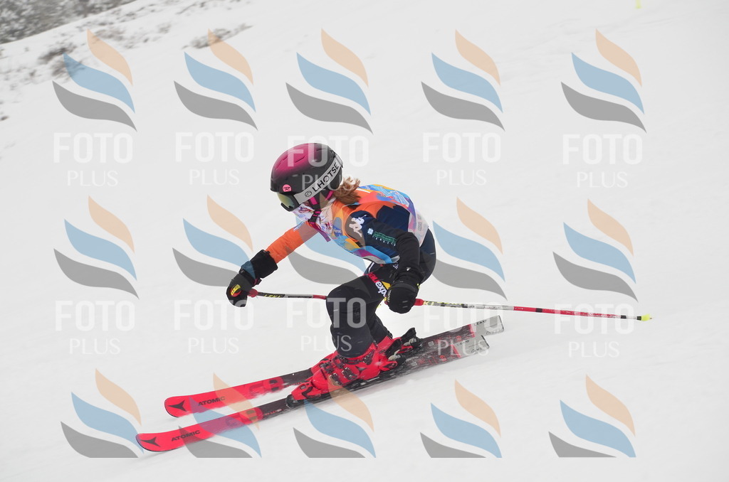 C1296 | holidayphoto