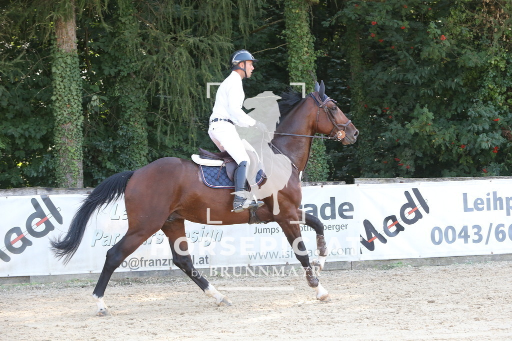 DL2Q1837 | Willkommen bei Brunnmayr - Design & Fotografie – Ihrem Spezialisten für Reitturniere und Pferdeveranstaltungen in Oberösterreich, Salzburg und Bayern! Seit über 17 Jahren sind wir leidenschaftlich dabei.