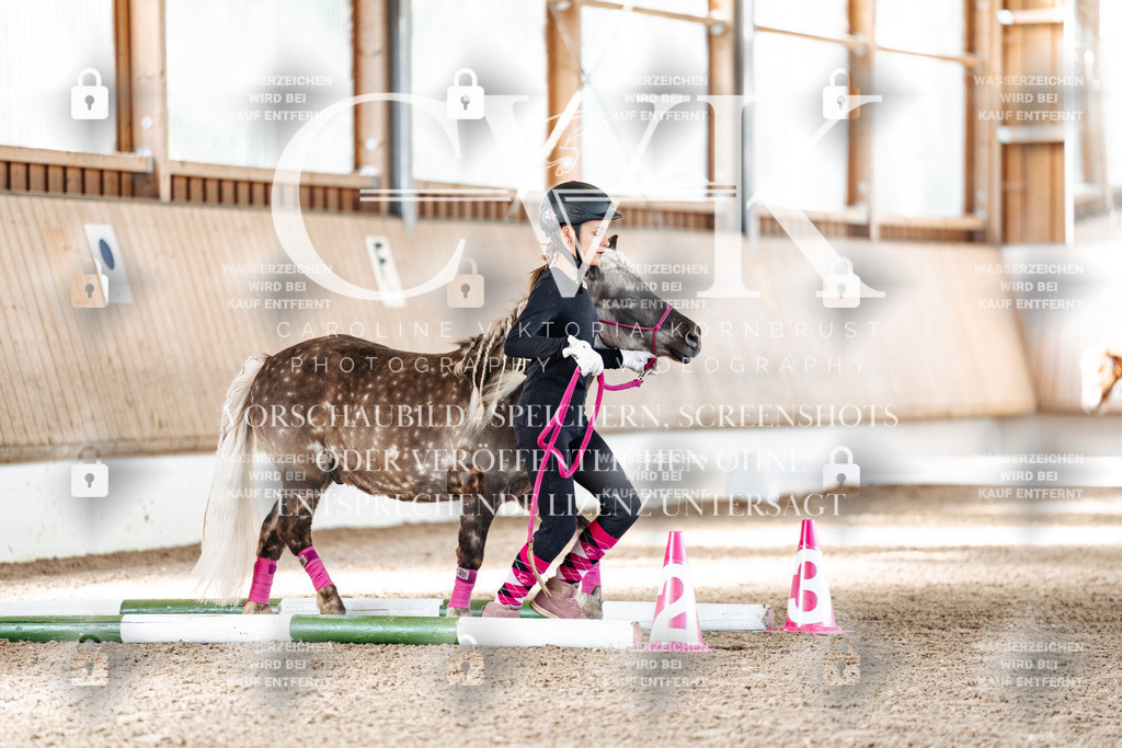 CK905317 | Turnierfotografie Pferdefotografie Trier Rheinland-Pfalz Pferdesport Reitsport Tierfotografie Sportfotografie Pferdevideo Pferdevideografie Equestrianvideography equestrianphotography  - Realisiert mit Pictrs.com