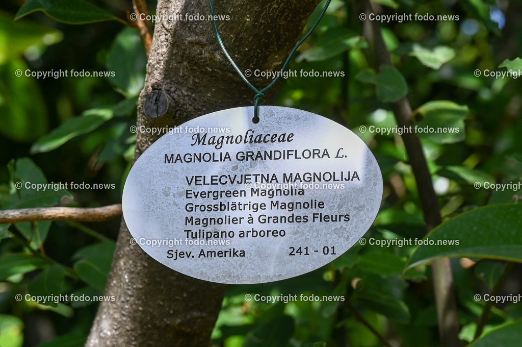 Arboretum von Trsteno_ Kroatien_ 11.10.2023-116 | 11.10.2023, Kroatien, HRV, Trsteno im Bild Arboretum, Trsteno, Hafen, Pflanzen, Brunnen, Neptunbrunnen, Wege, Palmen, Eukalyptus, Lorbeer, Kakteen, Zitrus, Oliven, Filmkulisse Game of Thrones

Das Arboretum von Trsteno befindet sich etwa 18 Kilometer nordwestlich der Stadt Dubrovnik im Sueden Kroatiens. Als einziges Arboretum an der oestlichen Adria-Kueste stellt es die aelteste Sammlung exotischer Baeume und Pflanzen des Landes dar.
Die Gartenanlage befindet sich entlang der Kuestenstraße zwischen den Ortschaften Orašac und Slano.
Quelle: Wikipedia