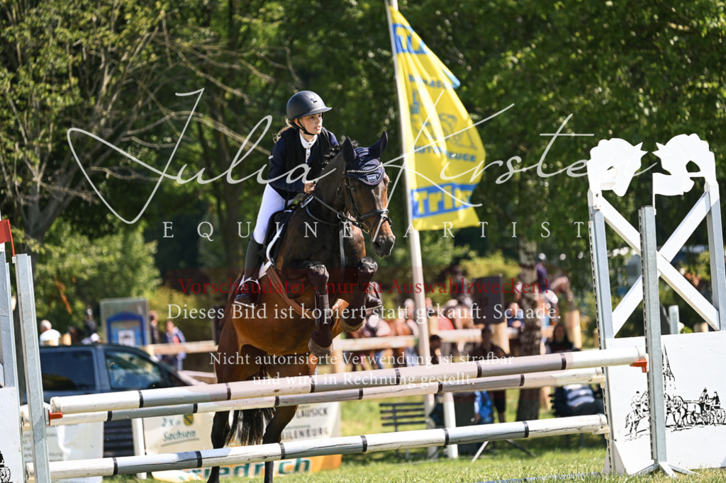 DSC_8774 | Pferde- und Turnierfotografie in Westsachsen. Pferdeportraits, Auftragszeichnungen und intuitive Kunst.