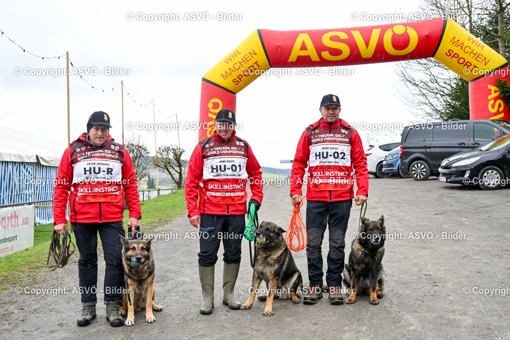 ASVÖ_ Tracking Dog World Championship 2025_ 31.03.2025-47 | 31.03.2025, AUT, ASVÖ, Tracking Dog World Championship // FCI IGP Fährtenhundeweltmeisterschaft 2025©fodo.media / Harald Dostal - Realisiert mit Pictrs.com
