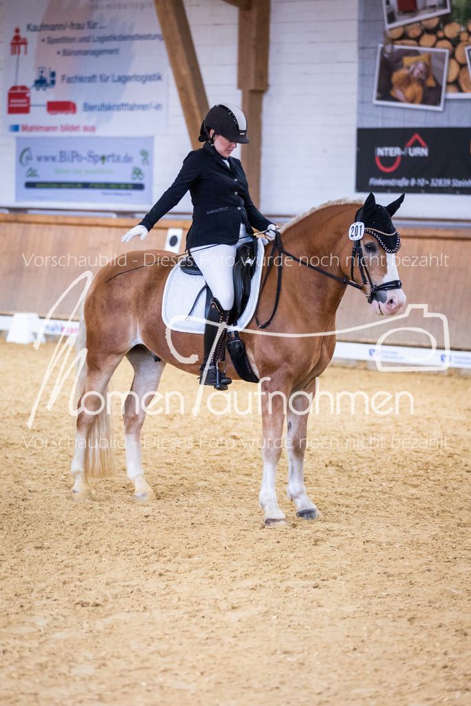 Sth-A-Dre-2St-038 | MomenTaufnahmen Pferdesportfotos