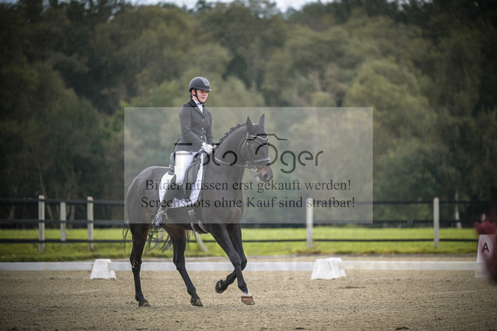 DOS_B340 | Entdecke hochwertige Reitturnierfotos von Foto Oger. Professionell, emotional und authentisch – jetzt Lieblingsmomente im Shop bestellen.Deutschlandweite Turnierfotografie. - Realisiert mit Pictrs.com