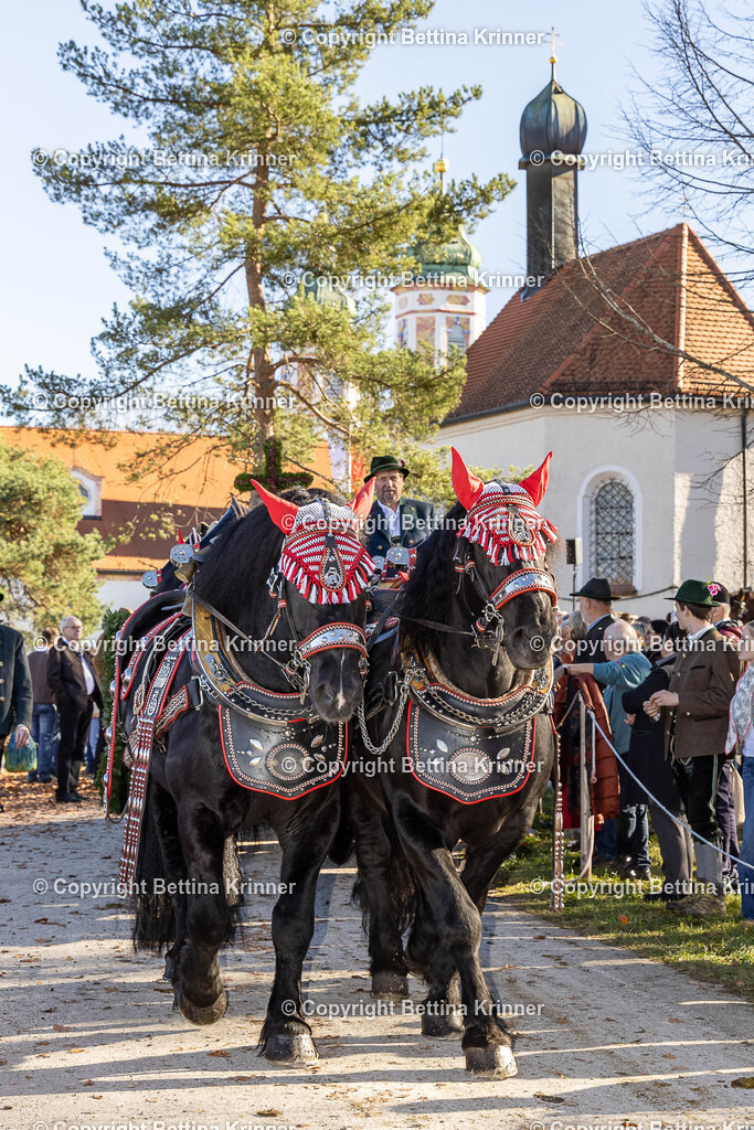 LBT25-1097 | foto-bettina-krinner - Realisiert mit Pictrs.com